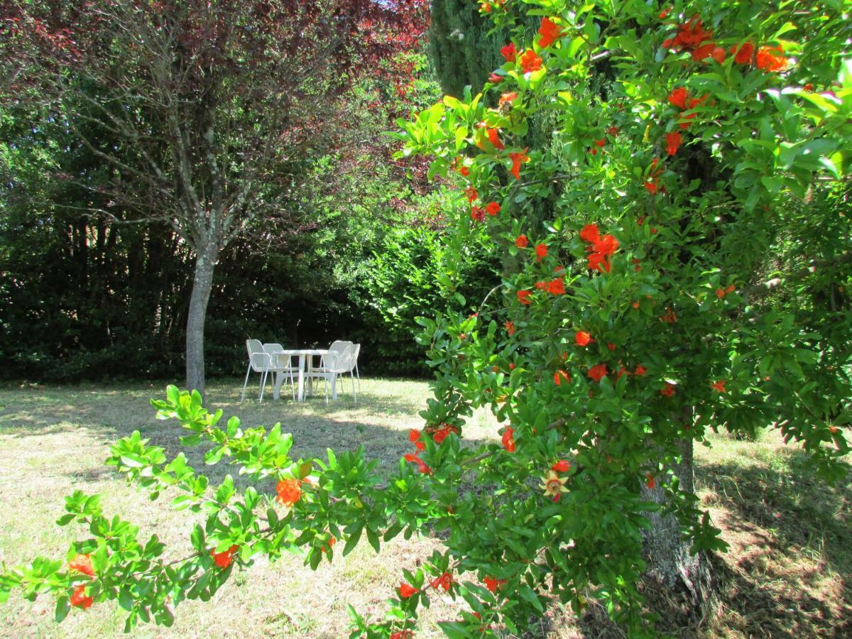 Agriturismo Dea Valfabbrica Exterior foto